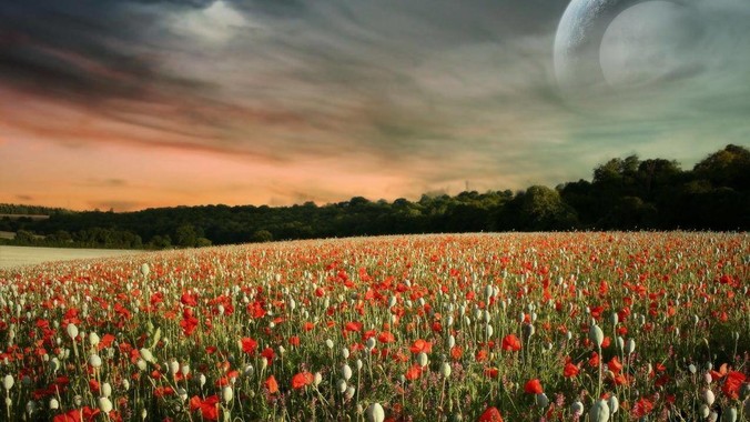 你都用Github Action做出过哪些骚操作？